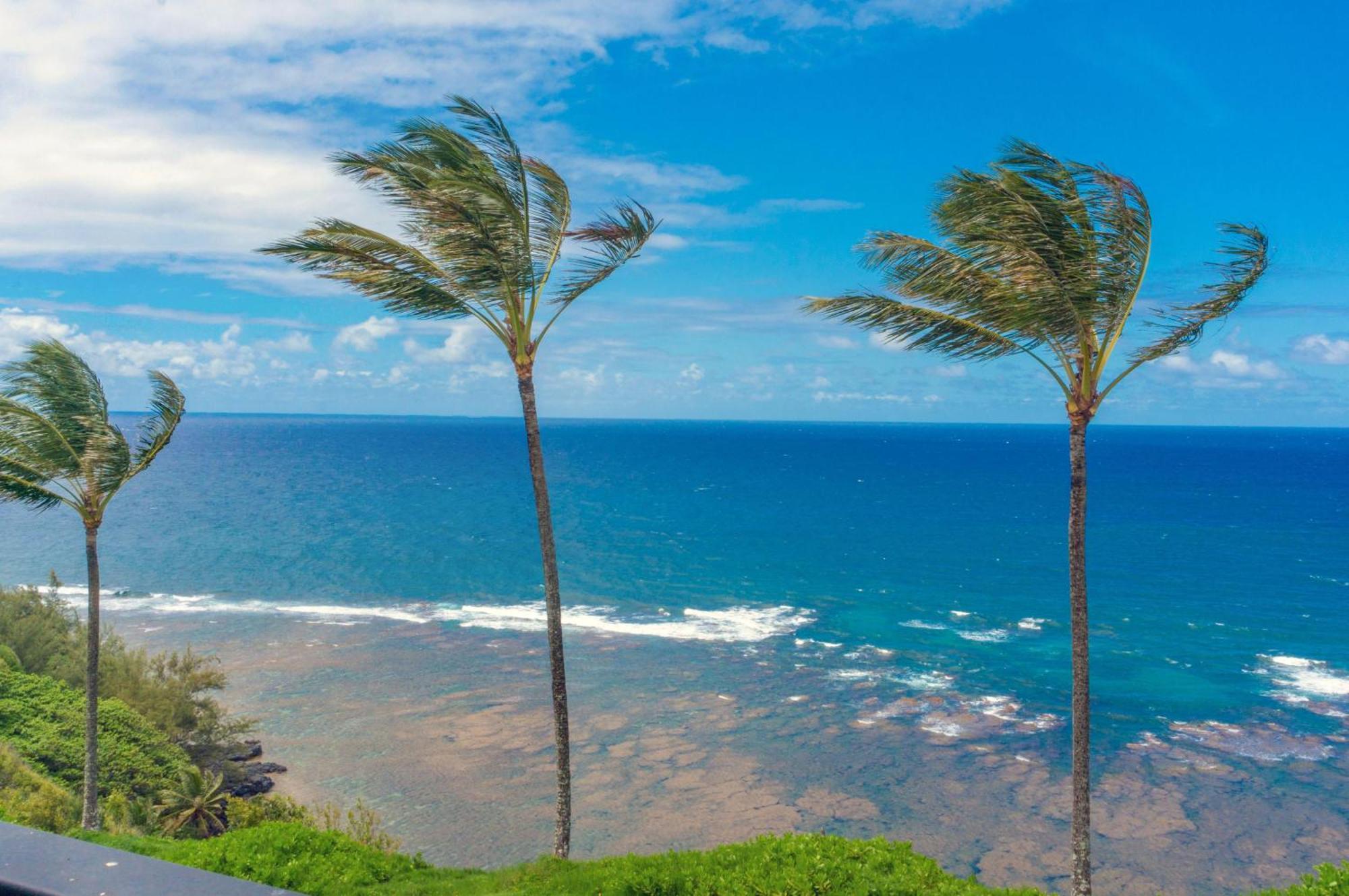 Sealodge C7 Princeville Exteriér fotografie